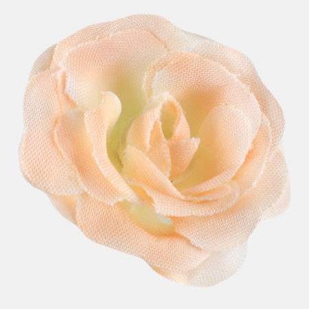 Mini-Rose