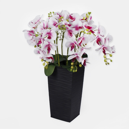 Blumenkomposition Orchidee